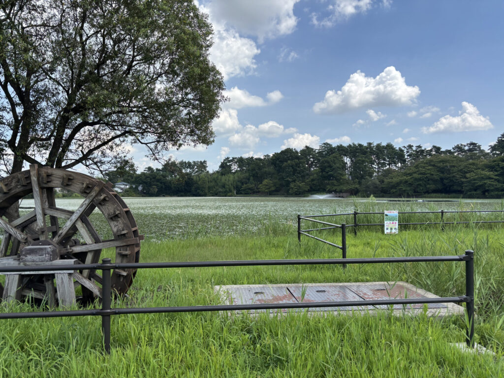 弁天潟風到公園